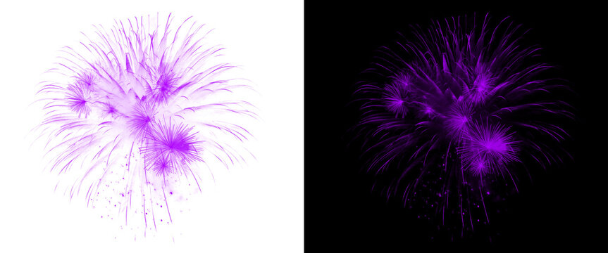 Purple fireworks explosion on white and black backgrounds, vibrant pyrotechnic burst set, festive purple firework display for celebration and events