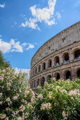 Obraz premium colosseum in rome italy with flowers