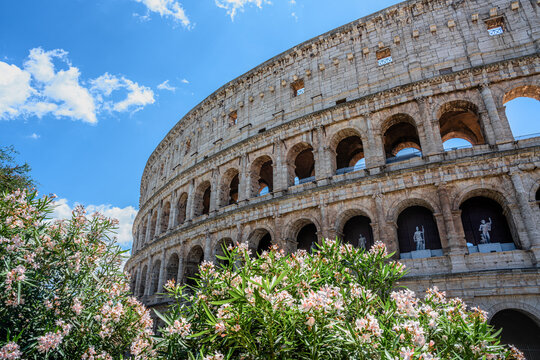 the roman colosseum with flowers