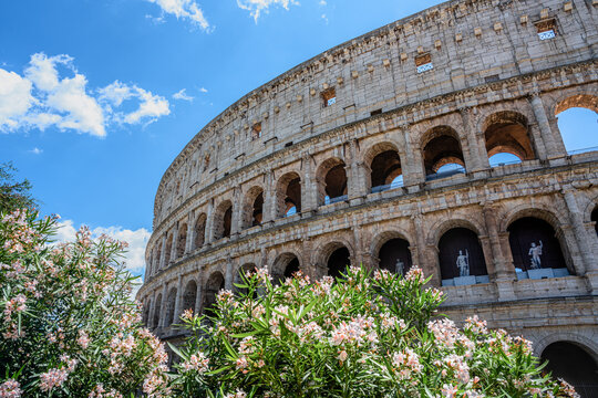 colosseum in rome italy with flowers