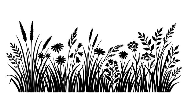 Wild Meadow Grass and Flower Silhouette Border Nature Vector Illustration