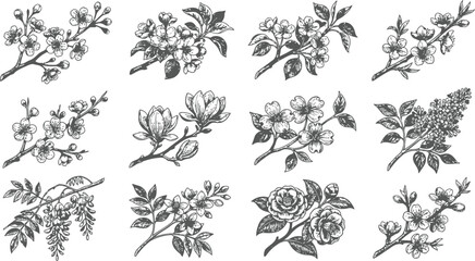 Fototapeta premium Collection of delicate floral branches rendered in a classic engraving style with intricate detail and subtle shading