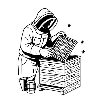 Beekeeper inspecting honeycomb frame with bees black and white vector illustration on a white background