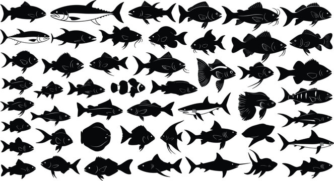 Sea and Freshwater Fish Black Silhouette Icon Set Featuring Tuna Salmon Trout Shark Catfish Clownfish Flounder and Angelfish Graphics for Seafood and Angling Designs