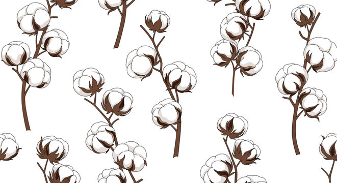 Natural seamless pattern showcasing multiple stems of fluffy white cotton bolls with brown husks on a clean white background.