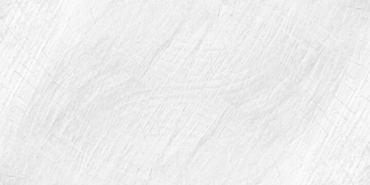 White wood texture background with natural cross section tree rings pattern, bright minimalist timber backdrop