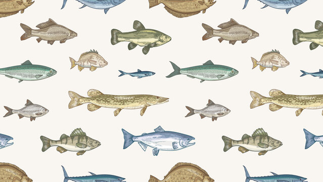 Watercolor fish pattern white background