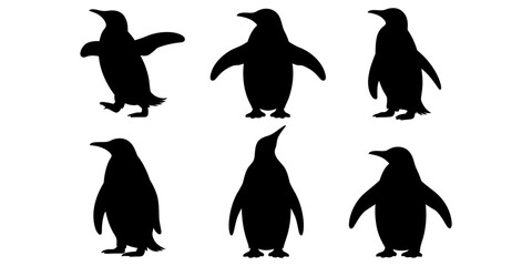 Set of black penguin silhouettes in different standing and walking poses for wildlife design elements Vector, illustration © Creative_Outline2019