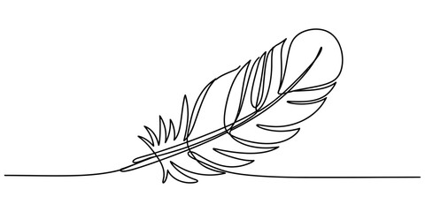 Continuous single line drawing of a bird feather Vector, illustration © RK Drawing Gallery