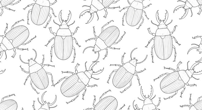 Intricate pattern of detailed hand drawn beetle and stag beetle sketches scattered across a white background.
