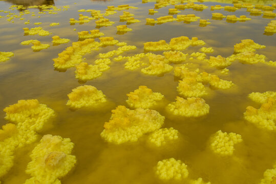 Floating sulfur formations in the acid pools of Dallol
