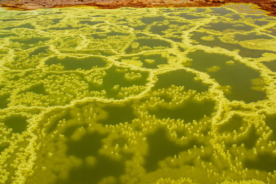 Acid pools and sulfur formations in the Dallol desert