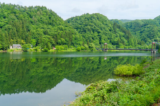 forest, bridge, country side on sunny day   
lake in the park