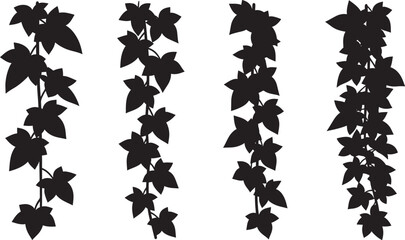 Fototapeta premium Hanging ivy leaves editable vector silhouette illustration high quality vector silhouette clipart set.