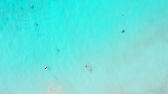 A pristine overhead drone shot showcasing people snorkeling and swimming in dreamlike, transparent turquoise ocean water. Dark silhouettes of Hawaiian green sea turtles (honu) are visible beneath the 