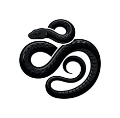 Fototapeta premium Black snake coiled in curved shape on clean white background, snake, black, reptile, coil, animal, scales, curve, wildlife,
