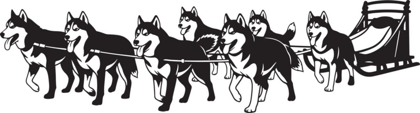 Editable vector silhouette illustration of sled dogs pulling wood sleigh in high quality vector art.