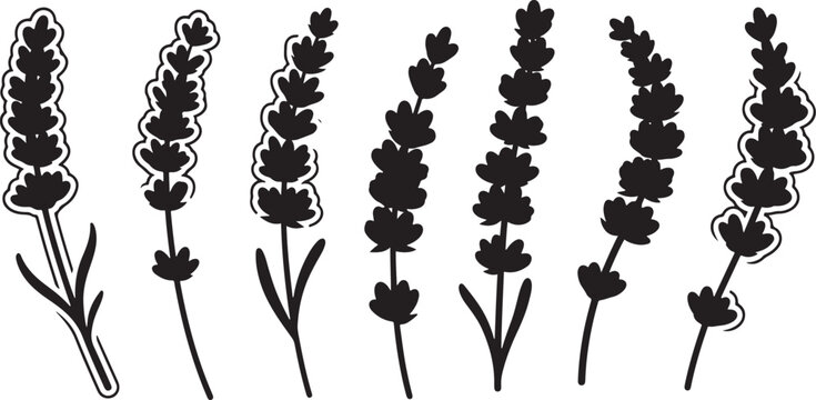 Set of black lavender flower icon, lavender logo collection, high quality vector silhouette illustration.