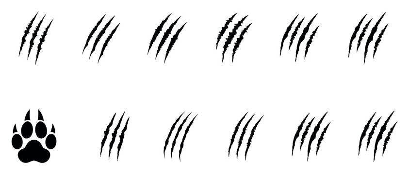 Black claw scratch marks and animal paw print set
