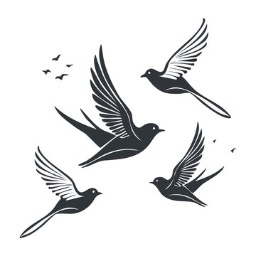 Minimalist black and white flying birds illustration
