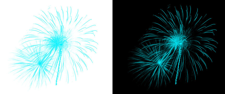 Cyan fireworks burst isolated on white and black background, bright turquoise pyrotechnic display, glowing blue firework explosion for celebration