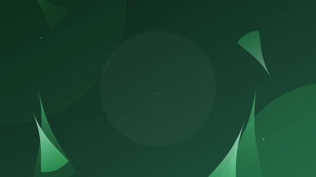 Zen Bamboo Green Organic Modern Abstract Animation