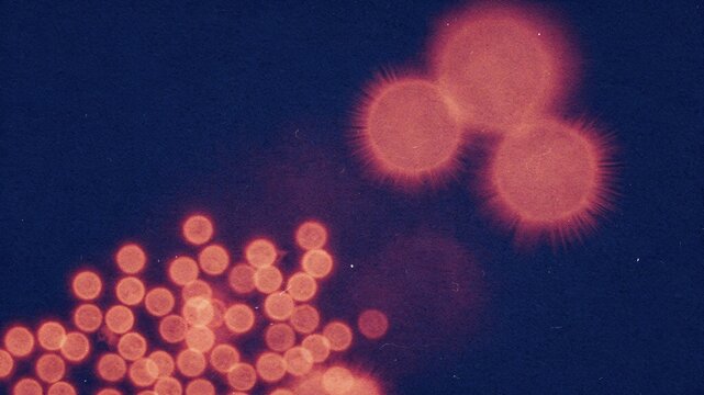 Cinematic light leak with scattered red orange halation blooms on deep indigo background
