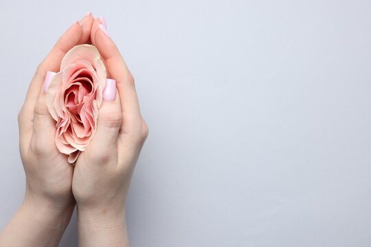 Gynecology. Woman with beautiful rose on grey background, top view. Space for text