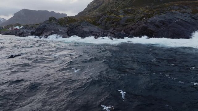 Seagulls flying over choppy rocky shoreline under overcast sky