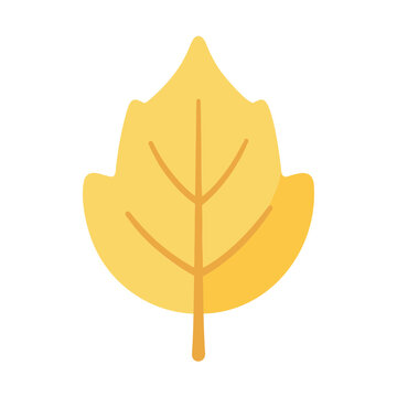 Stylized yellow leaf with prominent veins for nature themed designs and illustrations
