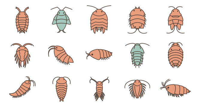 Various insect illustrations in a flat design style for educational and design use