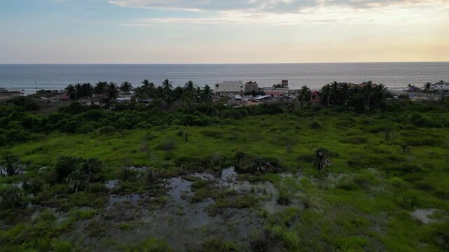 Drone view of Carrizal, Guerrero, Mexico, displaying lush tropical vegetation, coastal buildings, sandy beach, and the Pacific Ocean under a soft sky