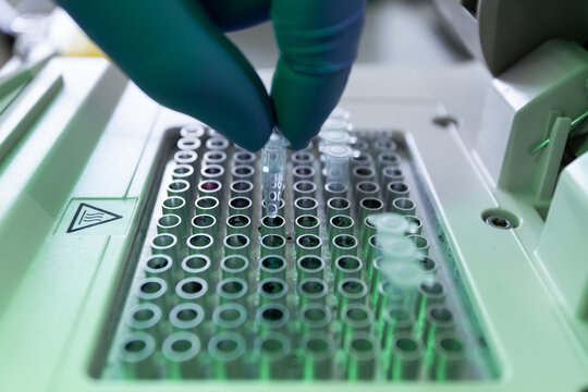 PCR test to determine the presence of coronavirus in a patient. Close-up of a scientist placing a test tube with a sample into a cell of a laboratory instrument.