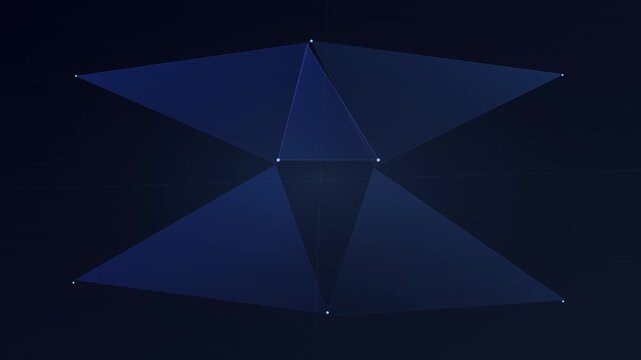 Dynamic Polygon Mesh Triangulated Modern Vector Graphic