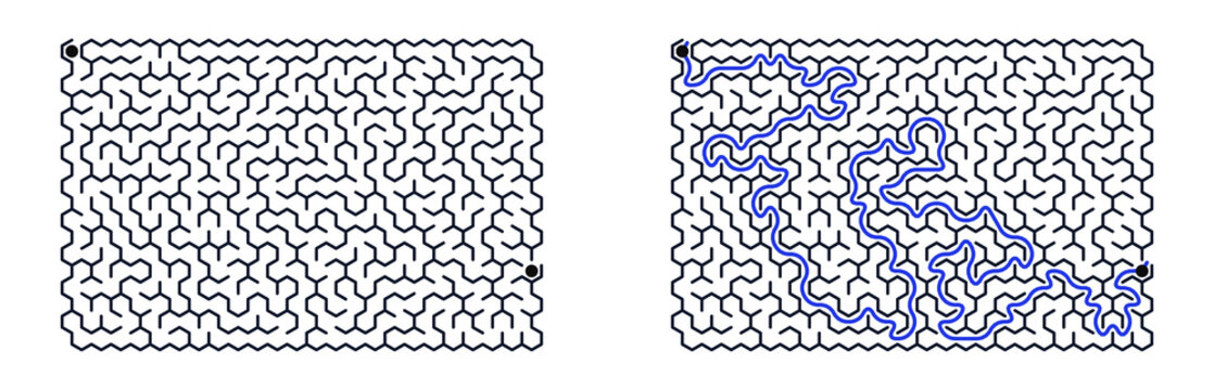 Honeycomb labyrinth in solid lines with completed path shown  
