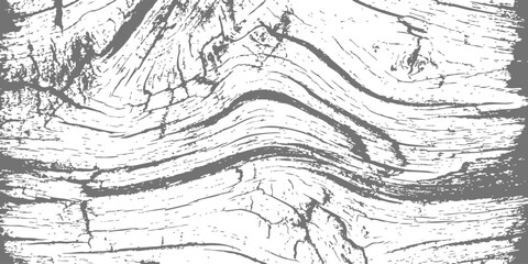 Obraz premium Black and white abstract wooden texture with organic lines and natural wood grain patterns for design background