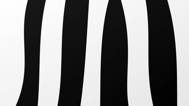 high contrast zebra abstract liquid stripe motion