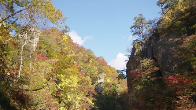 紅葉の名所 秋の鳴子峡の風景　Autumn scenery of Naruko Gorge, a famous spot for autumn foliage.