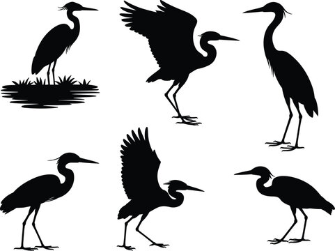 Heron and egret silhouette vector collection, set of standing and flying water bird icons, elegant crane bird silhouettes for nature designs.