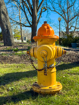 Bright yellow fire hydrant stands on grass under clear blue sky in a park during spring, surrounded by trees and garden features, providing important safety service for nearby buildings