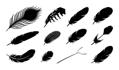 Bird feather outline collection vector illustration © Md
