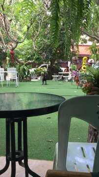 Looking over a glass patio table and plastic chair from behind them out into a greenspace in a temple ground in Thailand.