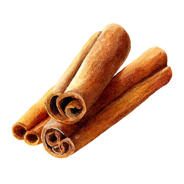 Cinnamon, watercolor clipart isolated on white background