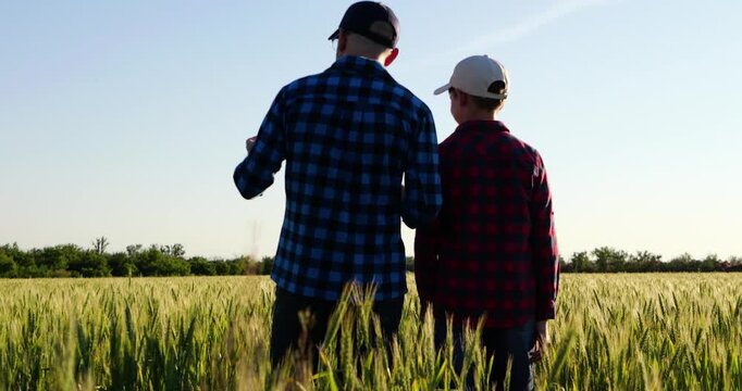 Farmer and son walk through green wheat field together, sharing agricultural knowledge and experience. Countryside scene represents generational farming, family heritage and the future of agriculture.