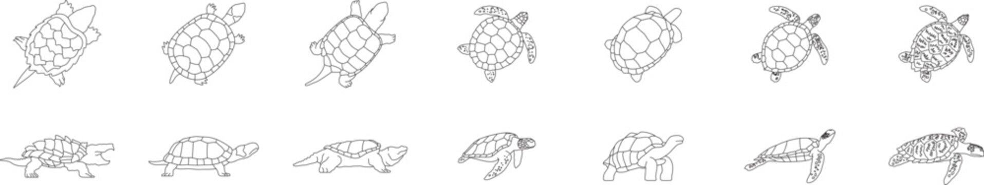Turtle collection, line art, sea, marine, ocean, symbol, top and side view, editable stroke, vector, illustration