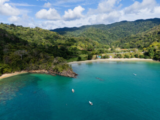 Naklejka premium Drone Shot of Forested Bay with Sandy Beach Tobago