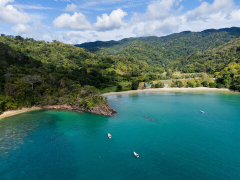 Drone Shot of Forested Bay with Sandy Beach Tobago