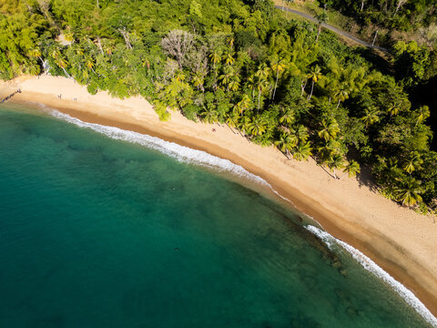 Aerial View of Curved Sandy Beach and Turquoise Bay Tobago
