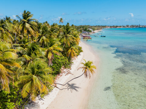 Drone Shot of Palm-Lined Sandy Beach and Turquoise Water Tobago