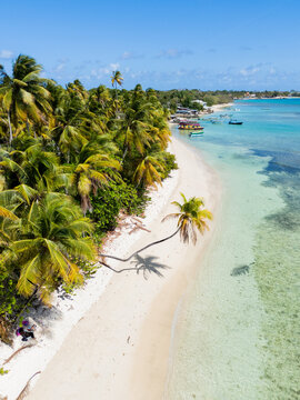 Aerial View of Tropical Beach with Boats and Palm Trees Tobago